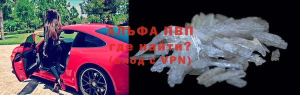 стаф Алзамай