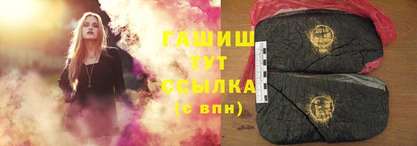 стаф Алзамай