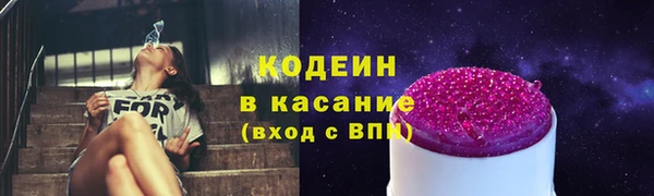 стаф Алзамай