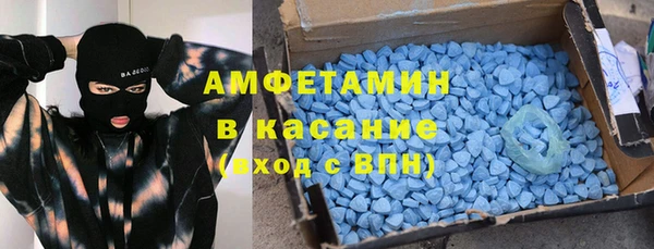 стаф Алзамай