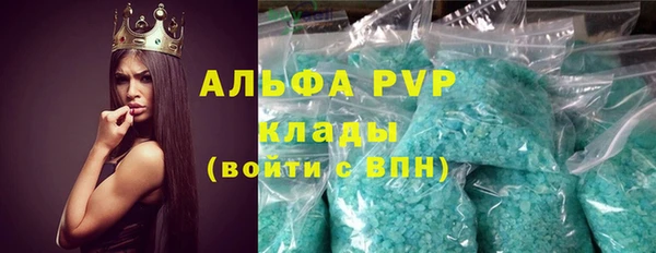 стаф Алзамай
