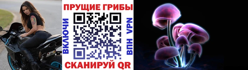 Галлюциногенные грибы ЛСД  Усть-Лабинск 
